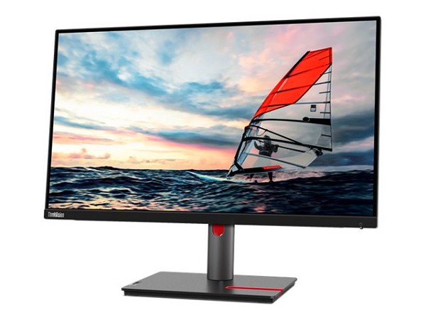 Preview: Lenovo ThinkVision P25i-30 - LED-Monitor - Full HD hinten