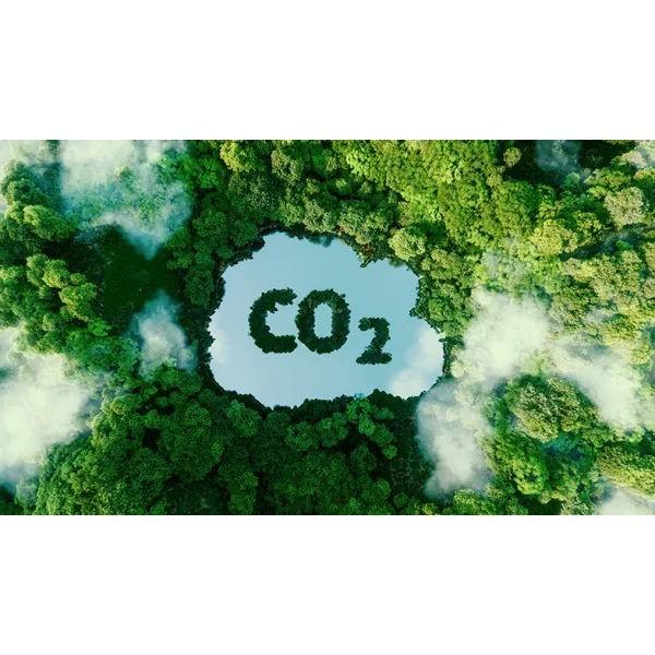Lenovo CO2 Offset 1 t (Visual) rechts